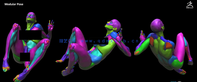 Zbrush女性模块化雕刻解剖学技术视频教程(图5)
