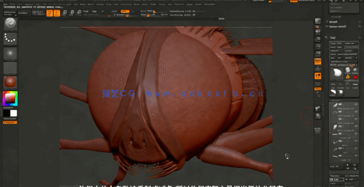Zbrush逼真苍蝇雕刻建模实例制作视频教程(图4)