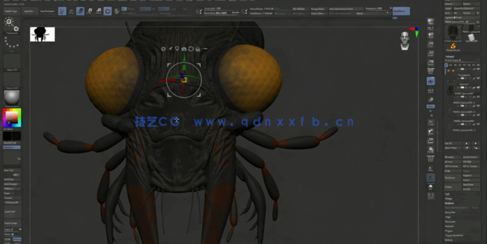ZBrush概念艺术基础知识技能训练视频教程(图5)