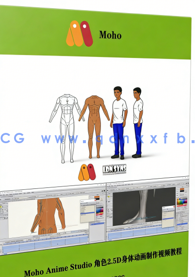  Moho Anime Studio 角色2.5D身体动画制作视频教程(图6)