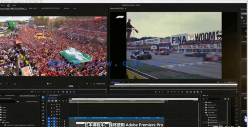 【中文字幕】Premiere Pro视频剪辑快速高效学习指南视频教程(图2)