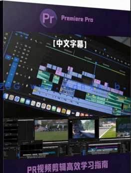 【中文字幕】Premiere Pro视频剪辑快速高效学习指南视频教程(图6)