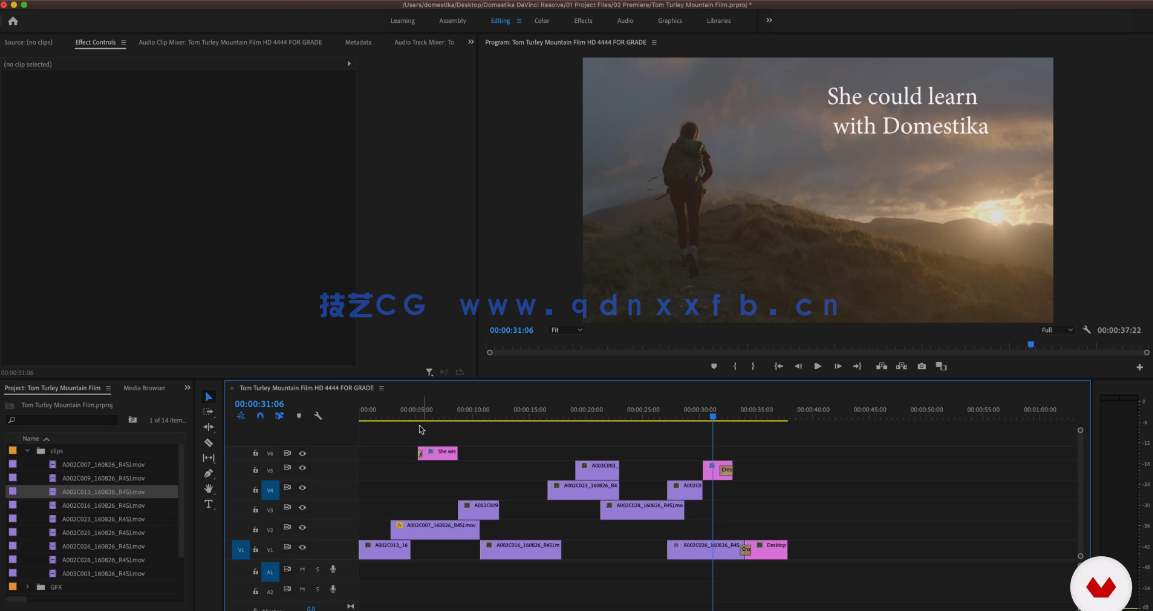 [DaVinci Resolve] 【中英双语】DaVinci Resolve达芬奇调色综合入门训练视(图2)