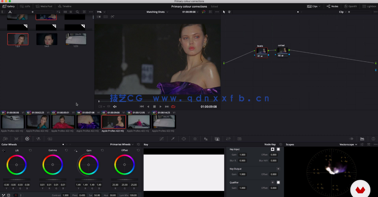 [DaVinci Resolve] 【中英双语】DaVinci Resolve达芬奇调色综合入门训练视(图5)