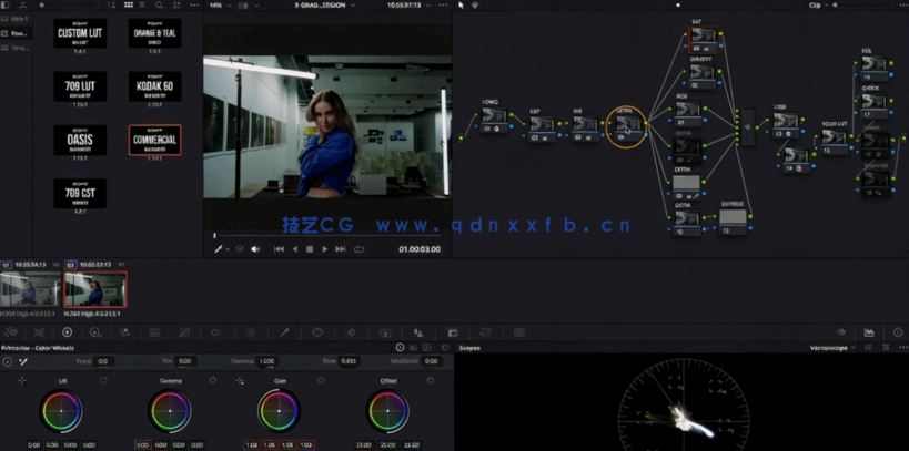 [DaVinci Resolve] 【中英双语】DaVinci Resolve电影制作人教你商业项目调(图2)