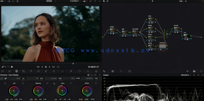 [DaVinci Resolve] 【中英双语】DaVinci Resolve电影制作人教你商业项目调(图4)