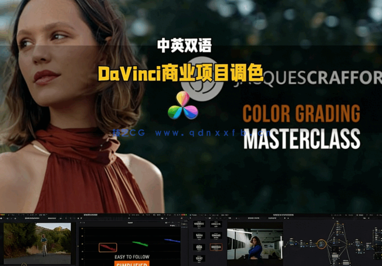 [DaVinci Resolve] 【中英双语】DaVinci Resolve电影制作人教你商业项目调(图6)