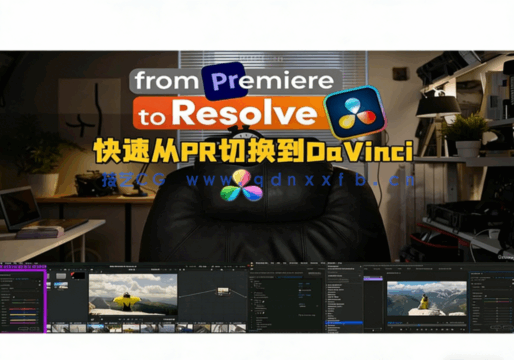 [DaVinci Resolve] 如何快速从Premiere切换到DaVinci Resolve工作流视频教(图7)