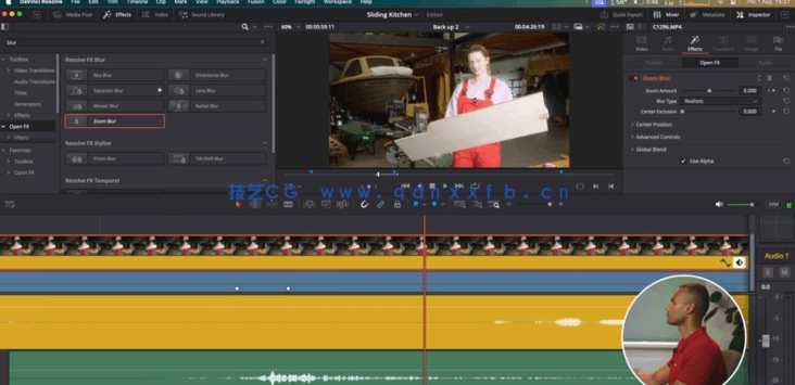 [DaVinci Resolve] DaVinci Resolve达芬奇视频剪辑镜头秘笈视频教程(图5)