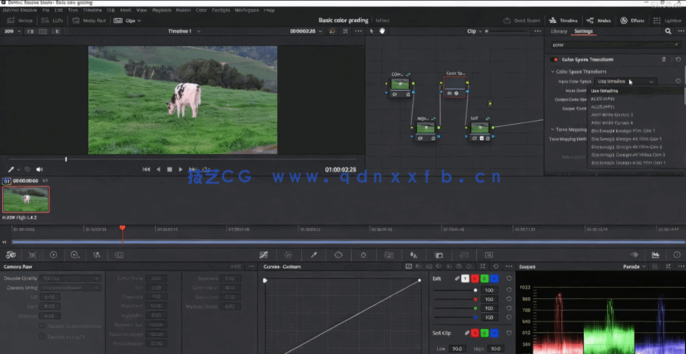 [DaVinci Resolve] DaVinci Resolve色彩分级核心技术大师班视频教程(图4)