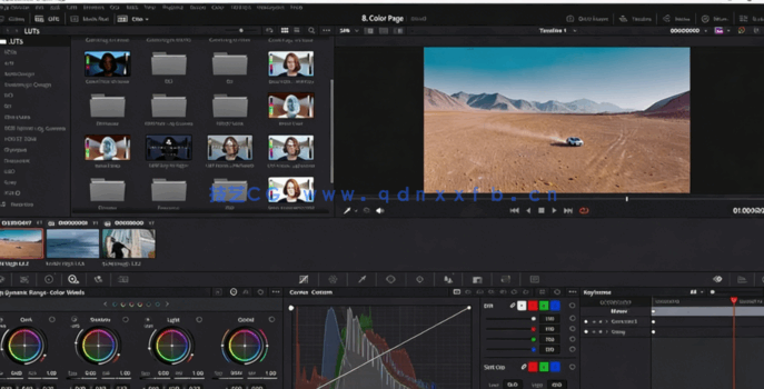 [DaVinci Resolve] DaVinci Resolve视频剪辑训练营视频教程(图4)