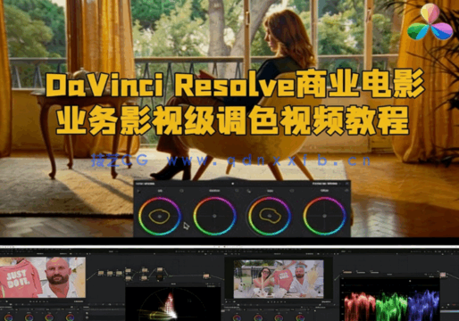 [DaVinci Resolve] DaVinci Resolve商业电影业务影视级调色从入门到精通视(图1)