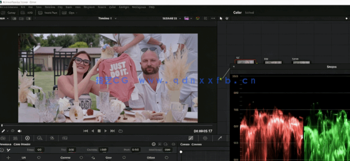 [DaVinci Resolve] DaVinci Resolve商业电影业务影视级调色从入门到精通视(图4)