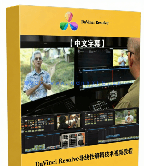 [DaVinci Resolve] 【中文字幕】DaVinci Resolve非线性编辑剪辑技术视频教(图1)