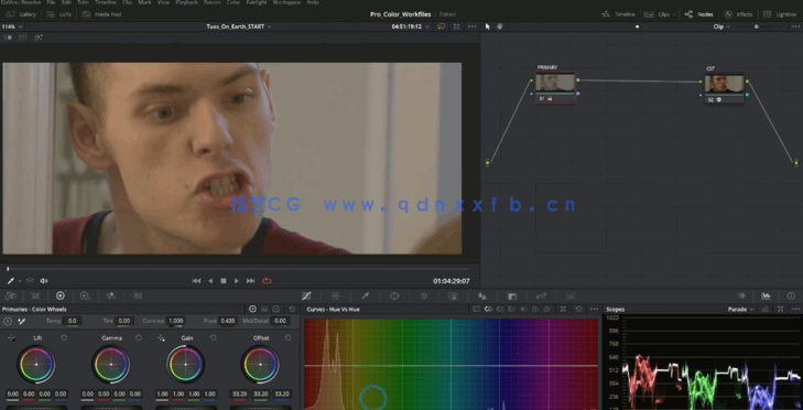 [DaVinci Resolve] DaVinci Resolve专业色彩校正技术大师班视频教程(图2)