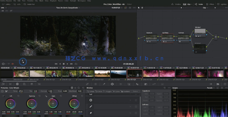 [DaVinci Resolve] DaVinci Resolve专业色彩校正技术大师班视频教程(图4)