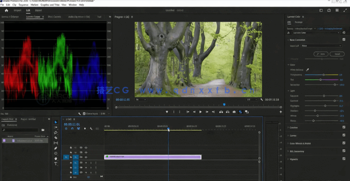 AE与PR 2024跟踪调色动画终极大师班视频教程(图4)