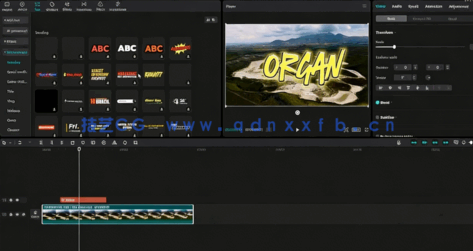 Capcut视频编辑完整学习终极指南视频教程(图4)