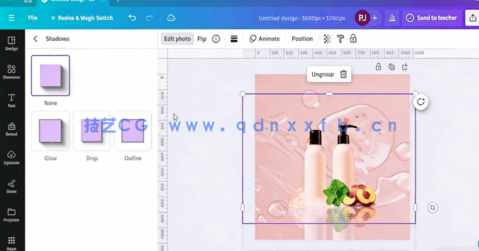 Canva社交媒体平面设计与视频编辑视频教程(图3)
