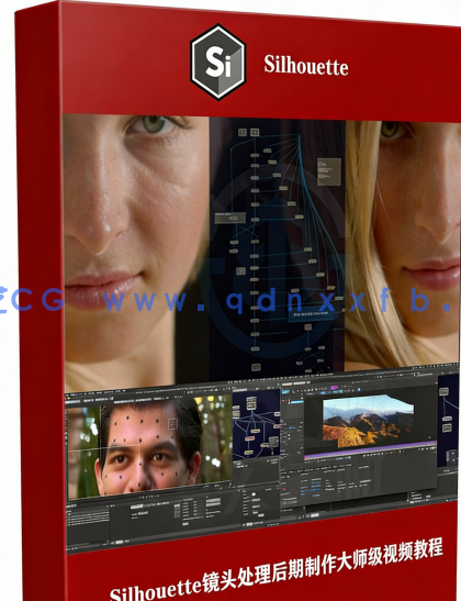  Silhouette镜头处理后期制作大师级视频教(图6)
