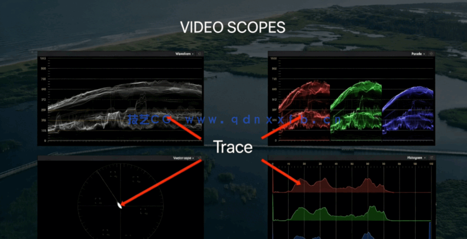 [DaVinci Resolve] DaVinci Resolve颜色分级调色理论大师级视频教程(图7)