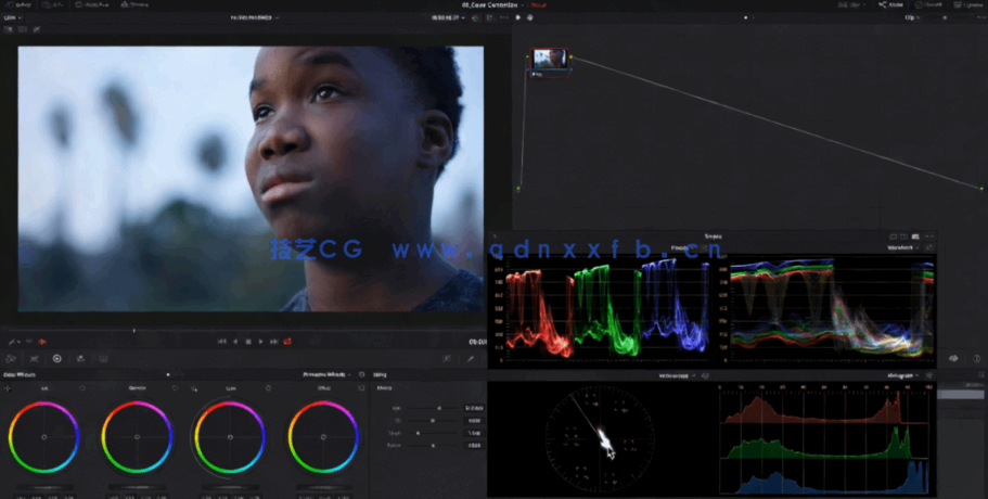 [DaVinci Resolve] DaVinci Resolve自由职业调色师完全培训大师级视频教程(图7)