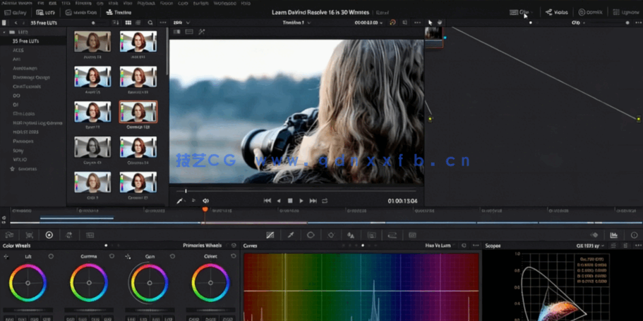 [DaVinci Resolve] DaVinci Resolve 16视频编辑基础指南视频教程(图5)
