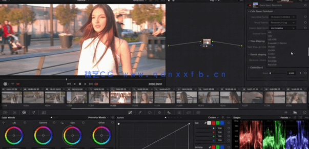 [DaVinci Resolve] DaVinci Resolve 16色彩分级从入门到精通视频教程(图6)