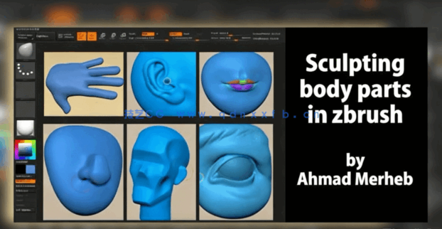 Zbrush人物脸部五官雕刻实例制作视频教程 (图2)