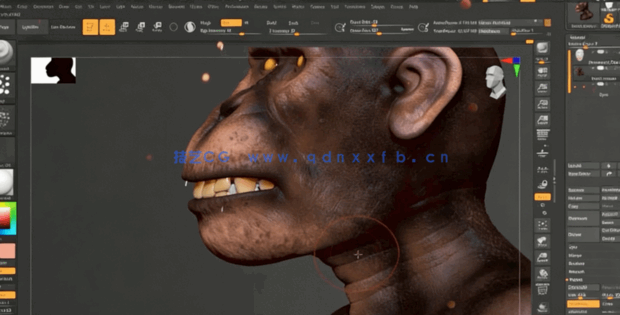 Zbrush逼真黑猩猩角色雕刻制作全流程视频教程(图3)