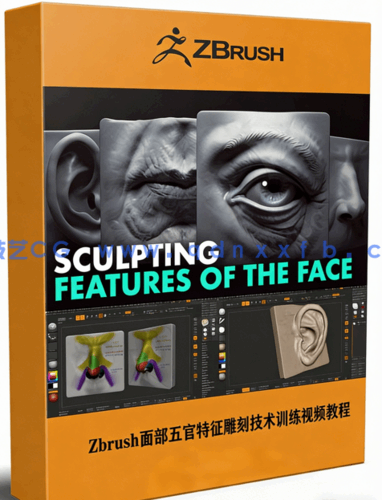 Zbrush面部五官特征雕刻技术训练视频教程(图1) Zbrush面部五官特征雕刻技术训练视频教程(图1)