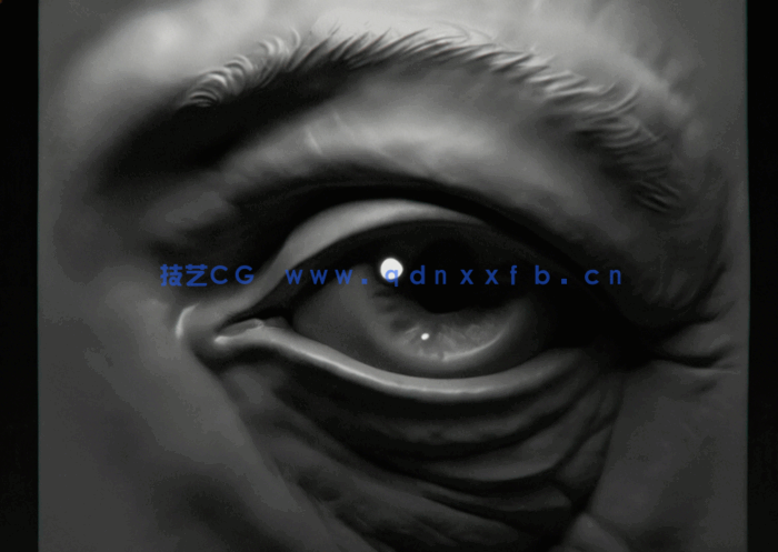 Zbrush面部五官特征雕刻技术训练视频教程(图3) Zbrush面部五官特征雕刻技术训练视频教程(图3)