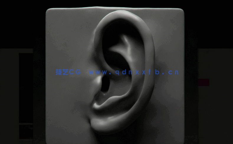 Zbrush面部五官特征雕刻技术训练视频教程(图4) Zbrush面部五官特征雕刻技术训练视频教程(图4)