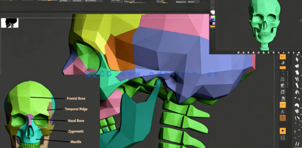 Zbrush脸部面部雕刻建模全面训练视频教程(图2)