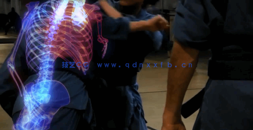 C4D+AE骨骼绑定教程 医学动画 Skeleton Rigging Composition(图2)