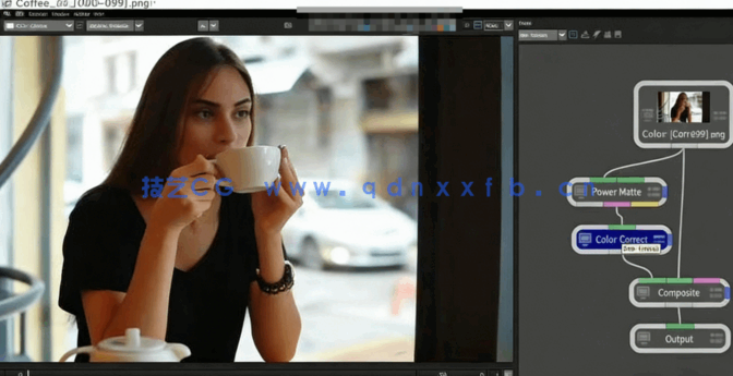 Boris FX Silhouette视觉特效核心技能训练视频教程(图2)
