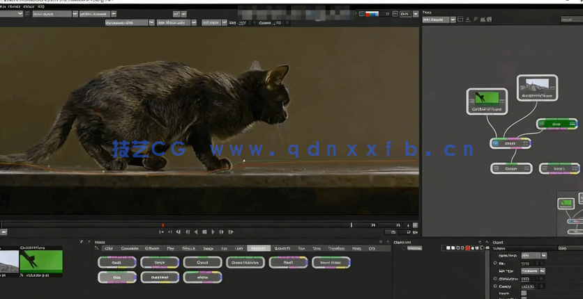 Boris FX Silhouette视觉特效核心技能训练视频教程(图4)