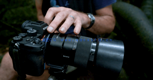 自然森林真菌蘑菇摄影技术大师班视频教程(图5)