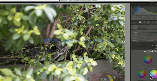 数字时代摄影师和电影制作人色彩调色工作流程视频教程(图4)