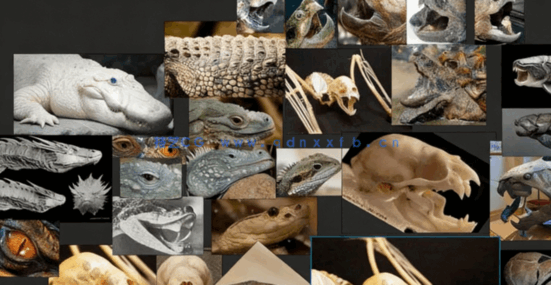 Zbrush超现实概念生物毒蛇龙完整制作流程视频教程(图2)