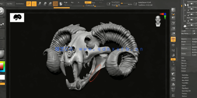 Zbrush奇美拉动物骨架数字雕刻实例训练视频教程(图5) Zbrush奇美拉动物骨架数字雕刻实例训练视频教程(图5)