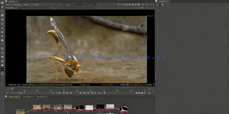 Zbrush超写实昆虫设计完整制作流程视频教程(图4)
