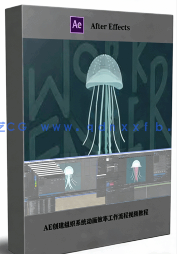 AE创建组织系统动画效率工作流程视频教程(图1) AE创建组织系统动画效率工作流程视频教程(图1)