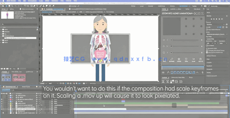 AE创建组织系统动画效率工作流程视频教程(图6) AE创建组织系统动画效率工作流程视频教程(图6)