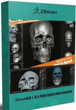 ZBrush逼真人类头骨雕刻建模实例制作视频教程 (图1) ZBrush逼真人类头骨雕刻建模实例制作视频教程 (图1)