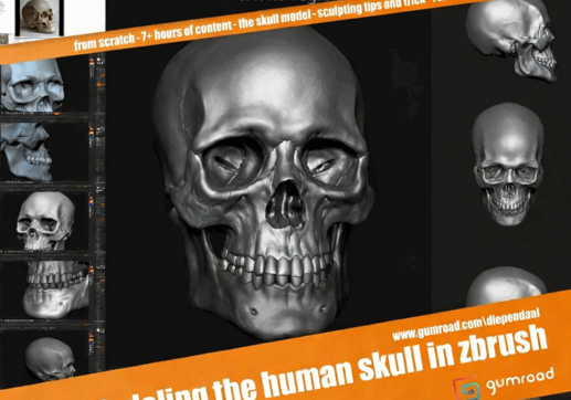 ZBrush逼真人类头骨雕刻建模实例制作视频教程 (图3) ZBrush逼真人类头骨雕刻建模实例制作视频教程 (图3)