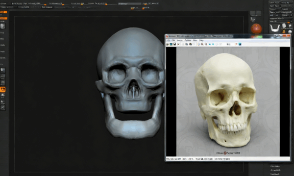 ZBrush逼真人类头骨雕刻建模实例制作视频教程 (图4) ZBrush逼真人类头骨雕刻建模实例制作视频教程 (图4)