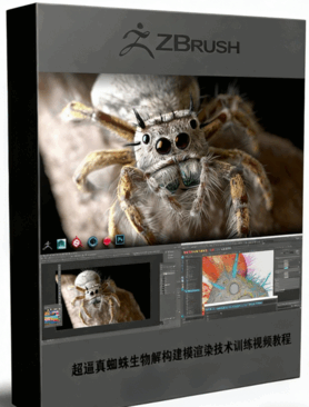 超逼真蜘蛛生物解构建模渲染技术训练视频教程(图1)