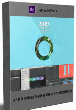 AE制作动画动态图形数据可视化工作流程视频教程(图1)