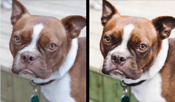 300种摄影胶片模拟调色艺术LR预设合集(图1)